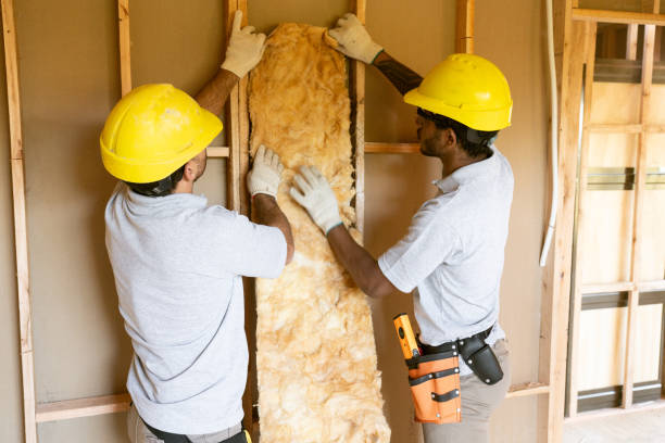 Best Insulation Removal  in Tuckahoe, NY